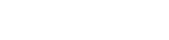 logo nivalis