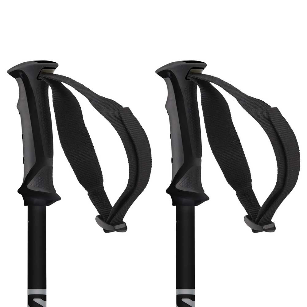 Salomon X08 ski poles