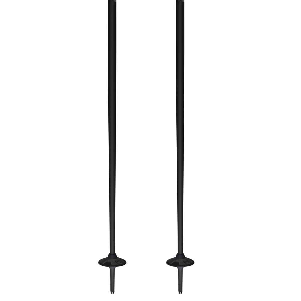 Salomon X08 ski poles